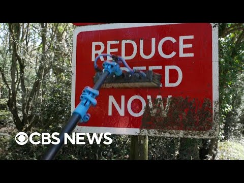 Man becomes viral sensation for cleaning signs