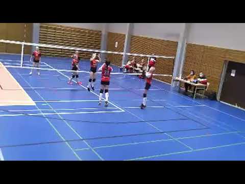 E-tytöt, VilTä - LP