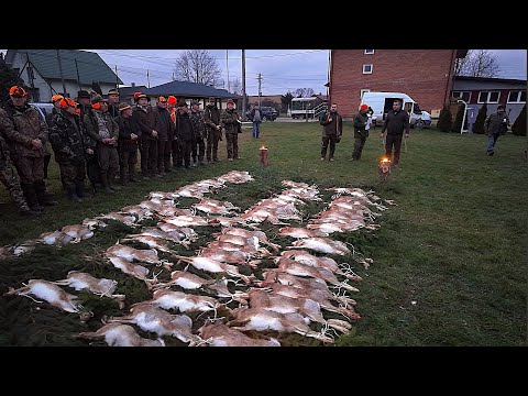 I Met Hunters - Episode 523 A Great, Traditional Hare Hunt