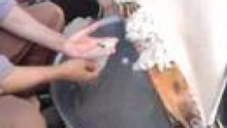 From Cocoon to Silk - Silkworm processing