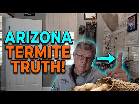 Arizona Termite Masterclass: Top 10 Questions Answered | Peoria & West Valley AZ