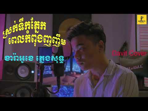 ស្រក់ទឹកភ្នែកពេលកំពុងញញឹម   Davit   Video cover ខារ៉ាអូខេ ភ្លេងសុទ្ធ