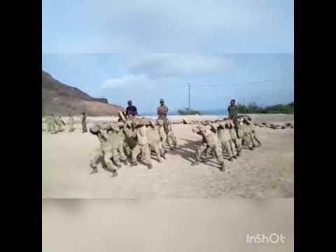 2° Incorporação Militar de 2019