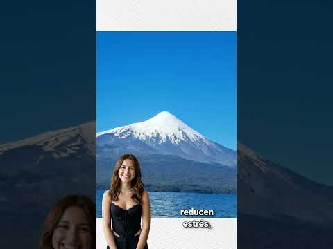 Cabañas en Puerto Varas: Cabaña con tinaja en Ensenada