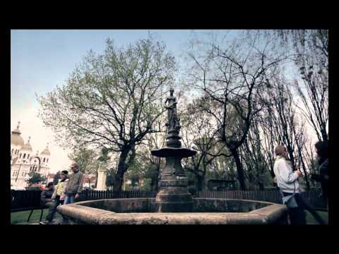 Orașul poetului Arany János, Salonta