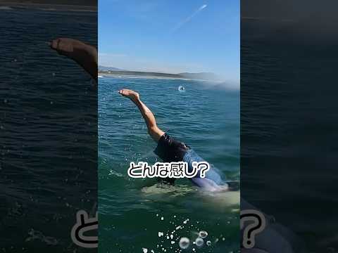 ホームオフィスでのプライベートサーフィン: これが上司の注目度です