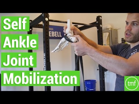 How to Mobilize Your Ankle Joint | Week 65 | Movement Fix Monday | Dr. Ryan DeBell