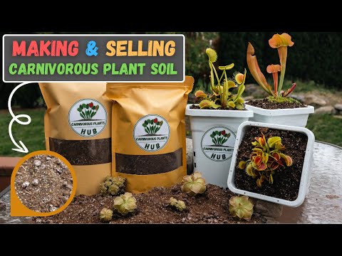 The Best Venus Fly Trap Soil Mix + Most Other Carnivorous Plants (Updated 2024)