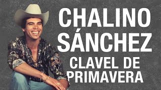 Chalino Sánchez - Clavel de Primavera (Con Norteño) Canción Con Letra (Lyrics)
