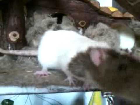 Kurzes Intermezzo an Mittag