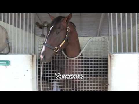 Road to the Kentucky Derby Wood Memorial preview 4.6.13