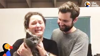 Cat Reunited With Family After California Mudslide | The Dodo by The Dodo