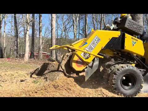 Stump Grinding in Lucasville Ohio | Satisfying Stump Removal Start to Finish