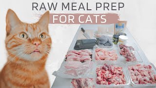 Cat Meal Prepping (Raw Diet)