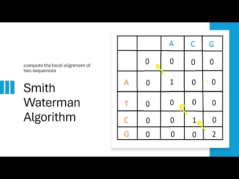 Smith-Waterman Algorithm: Local Sequence Alignment Made Easy! (With Example)