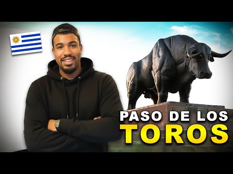 Paso de los Toros: un rincón inolvidable del URUGUAY