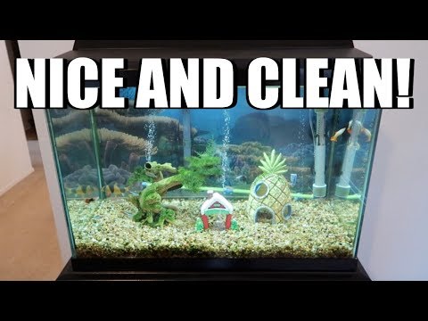 A CLEAN FISH TANK! - January 31, 2018