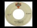 Zombies - She's Not There (1964)