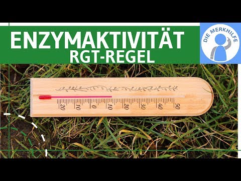 Influencing enzyme activity & RGT rule & pH value simply explained - Metabolic biology