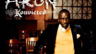 Akon - Party Animal-(Prod. David Guetta)-New 2010
