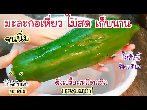 เหลือเชื่อ ฟื้นคืนชีพผัก! มะละกอเหี่ยว ไม่สด เก็บนานจนนิ่ม 💥 ให้ทำแบบนี้ จะตึงเปรี๊ยะ เหมือนเดิม