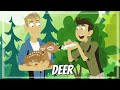 Wild Kratts Deer Buckaroo Full Episode HD KRATTS SÉRIES