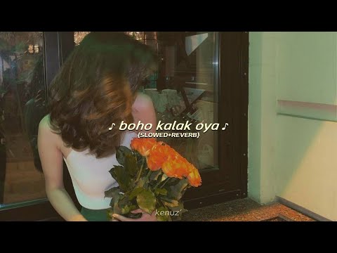 athula adhikari, බොහෝ කලක් ඔයා {slowed n reverb}