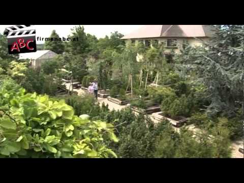 download lagu mp3 mp4 Weidinger Donnerskirchen, download lagu Weidinger Donnerskirchen gratis, unduh video klip Weidinger Donnerskirchen