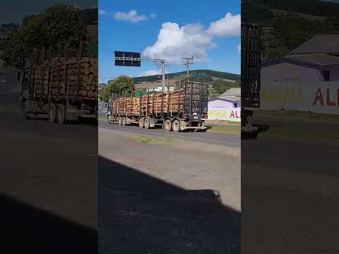 Fazendo a Cena. - Na Rodovia de Lebon Régis - Em Santa Catarina !!! - (Falconny Caminhões.). #Shorts