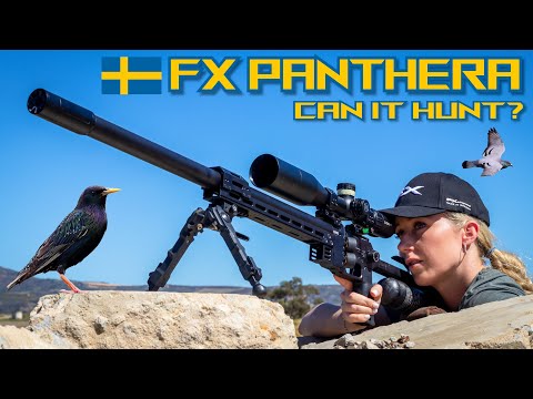 FX Panthera | Can it Hunt? | Review | 26gr Slugs | Airgun Pest Control #viral
