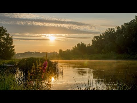 Эдвард Григ - Песня Сольвейг -  Edvard Grieg -  Solveig's Song