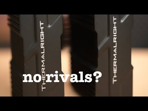 Thermalright is Right Again - Peerless Assassin 120 Mini