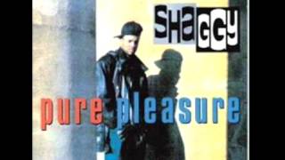 Shaggy - Ah E A OH