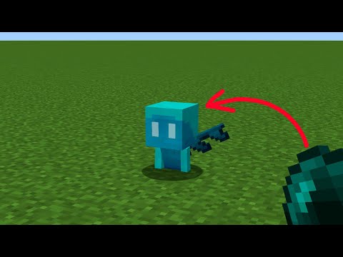 what's inside allay?