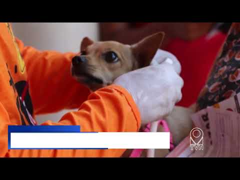 DIA D DE ENCOLEIRAMENTO MOBILIZA TUTORES EM PORTO NACIONAL PARA PREVENIR A LEISHMANIOSE