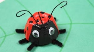 Bricolage coccinelle