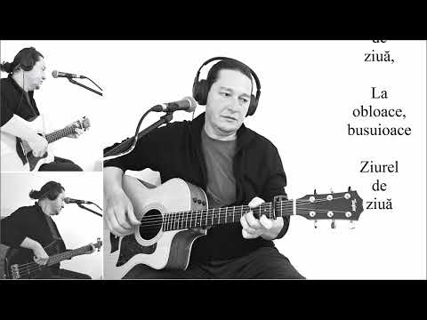 Dan Vasilescu - La toată casa-i lumină