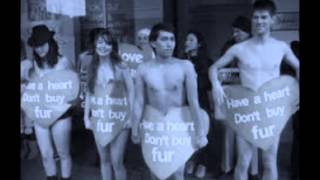 koud in mijn hart cover van Frank Boeijen