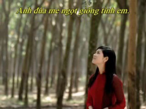 Thu trên quê người - Bảo Yến