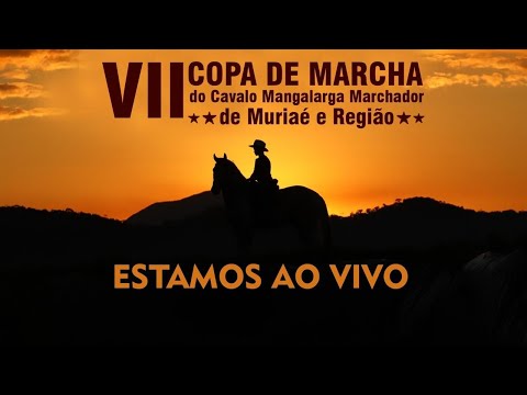 VII COPA DE MARCHA DE MURIAÉ