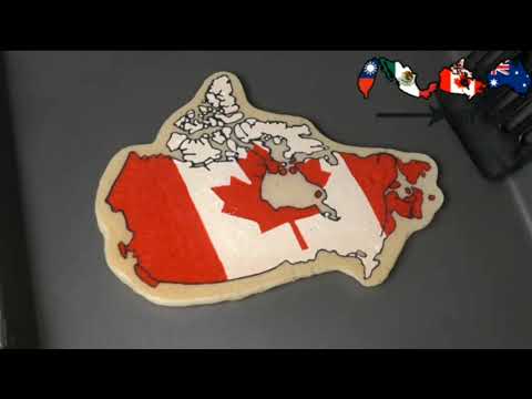 National Flag Map pancake art - Taiwan, Mexico, Australia, Canada