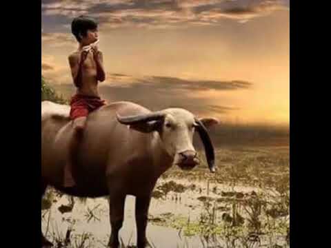 Evaristus Gungkit-Sondukut