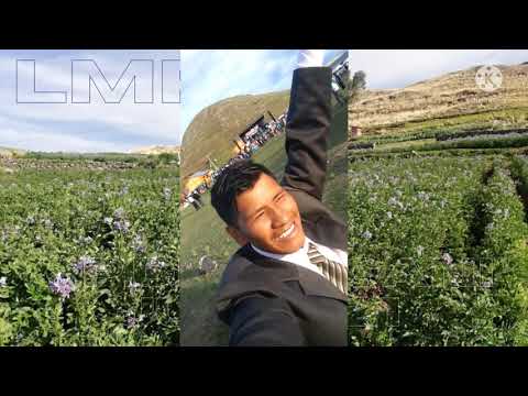 recuerdos de carnaval c.p. sivicani juli con real provincial juli 2016... LMP .