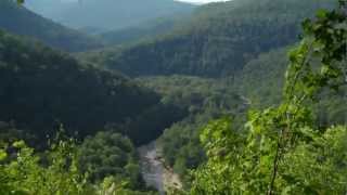 preview picture of video 'Loyalsock Canyon Vista, Worlds End State Park, Sullivan Co. PA.'