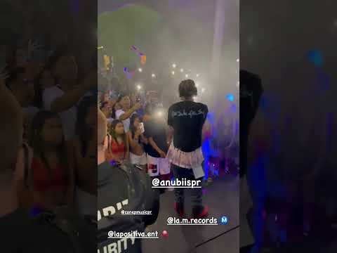 TRAPPHONE - Anubiis - LIVE AT GREEN PALACE