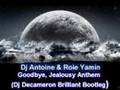 Dj Antoine & Roie Yamin - Goodbye (Dj ...
