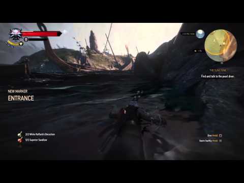 The witcher 3: The Sunstone | How to find and talk to the pearl driver