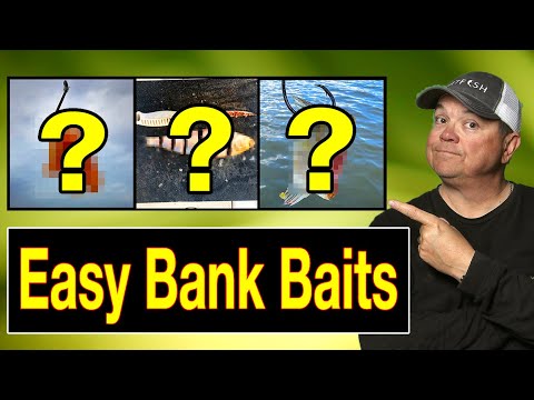 3 Easy Catfish Baits for Bank Fishing