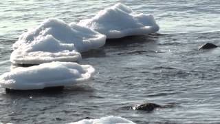 preview picture of video 'Ливадия море зимой'