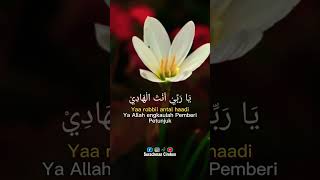 Download lagu Sholawat Nabi Ya Robi Antal Hadi #sholawat #doa #dzikir mp3 Download lagu Sholawat Nabi Ya Robi Antal Hadi #sholawat #doa #dzikir mp3